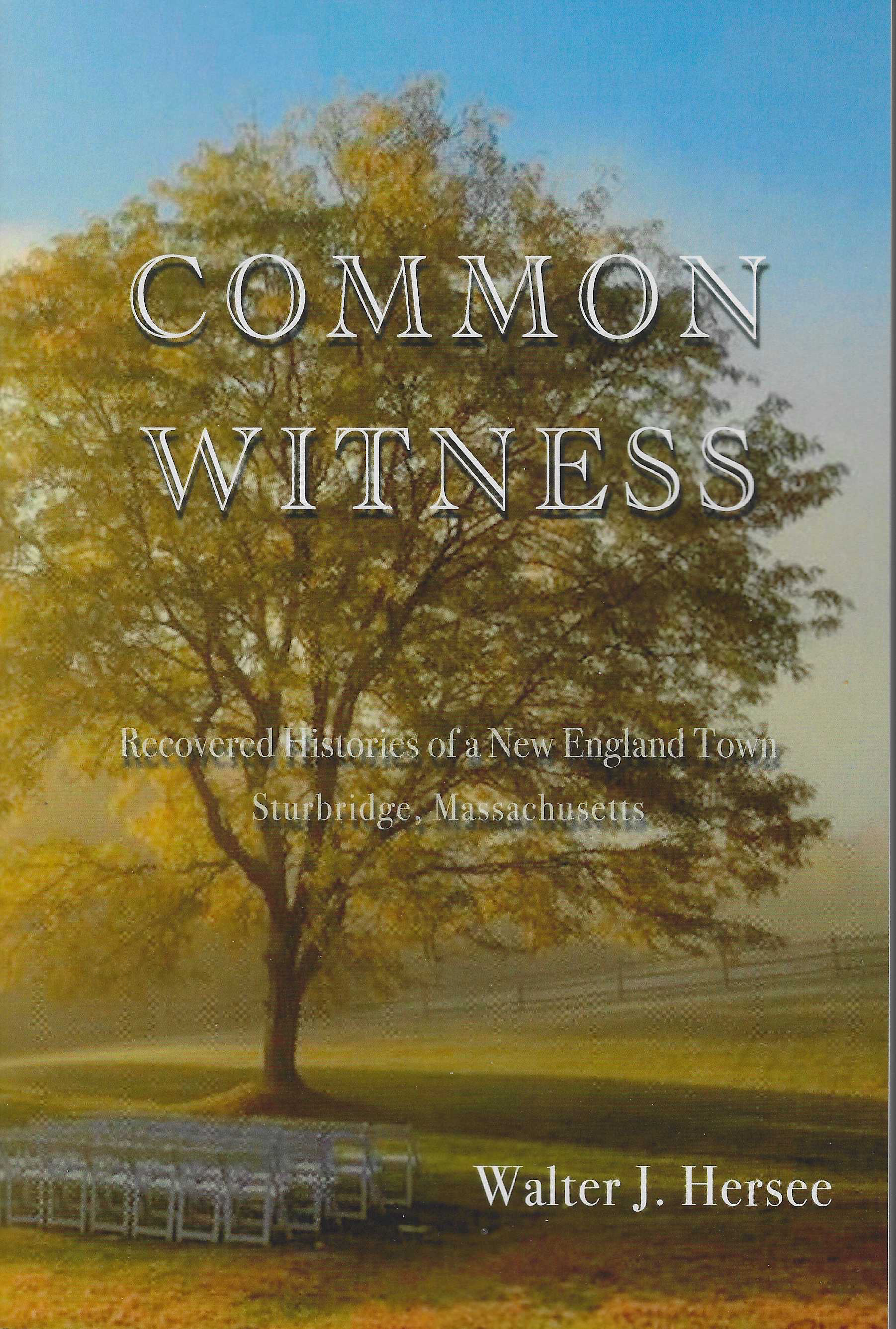Common Witness book cover