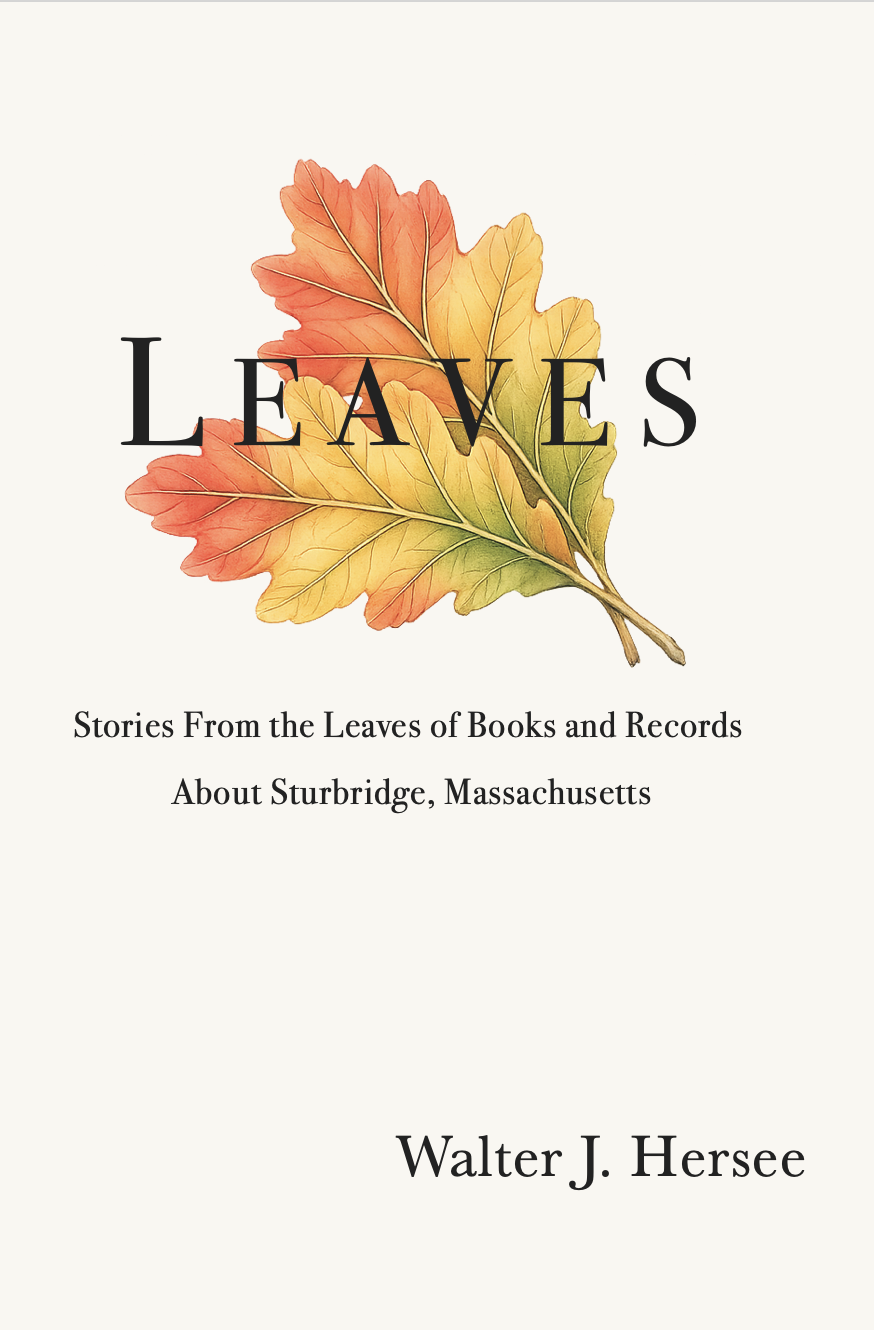 Leaves book cover